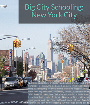 Big City Schooling: New York City